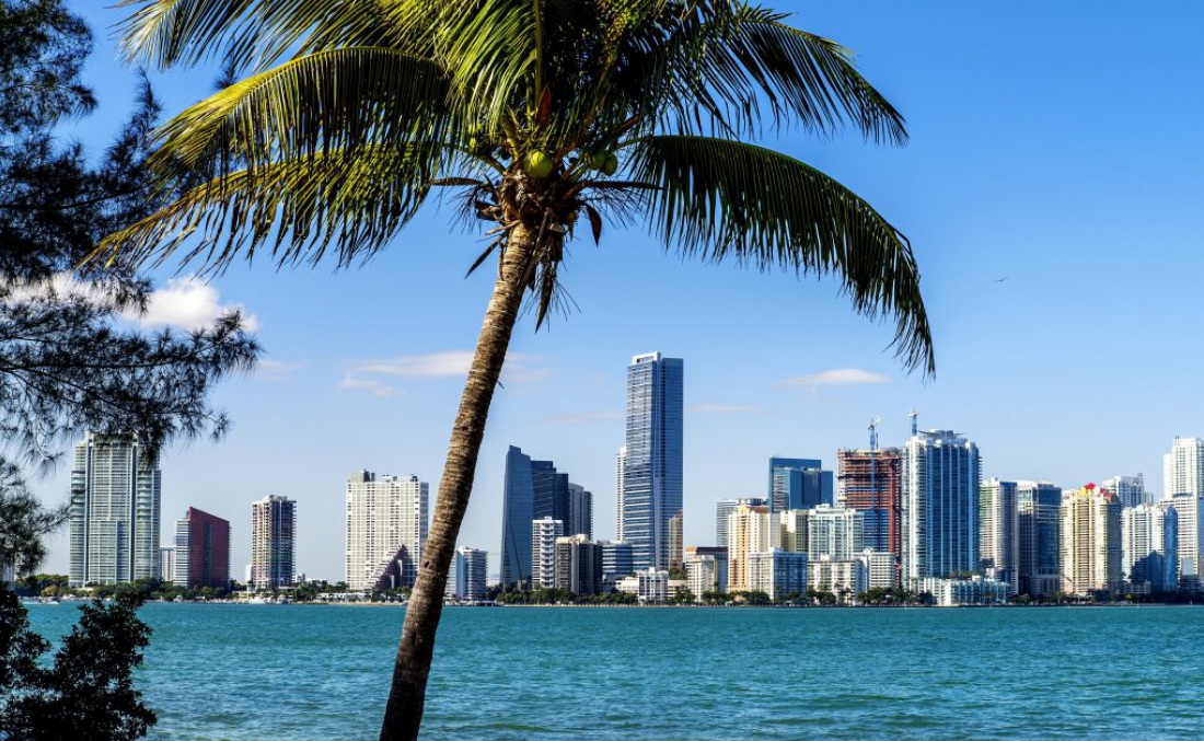 OD Miami