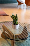odmadrid_03-lobby_021.jpg