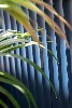 odibiza_08_details_02.jpg