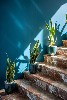 odibiza_08_details_05.jpg