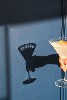 odibiza_08_details_08.jpg